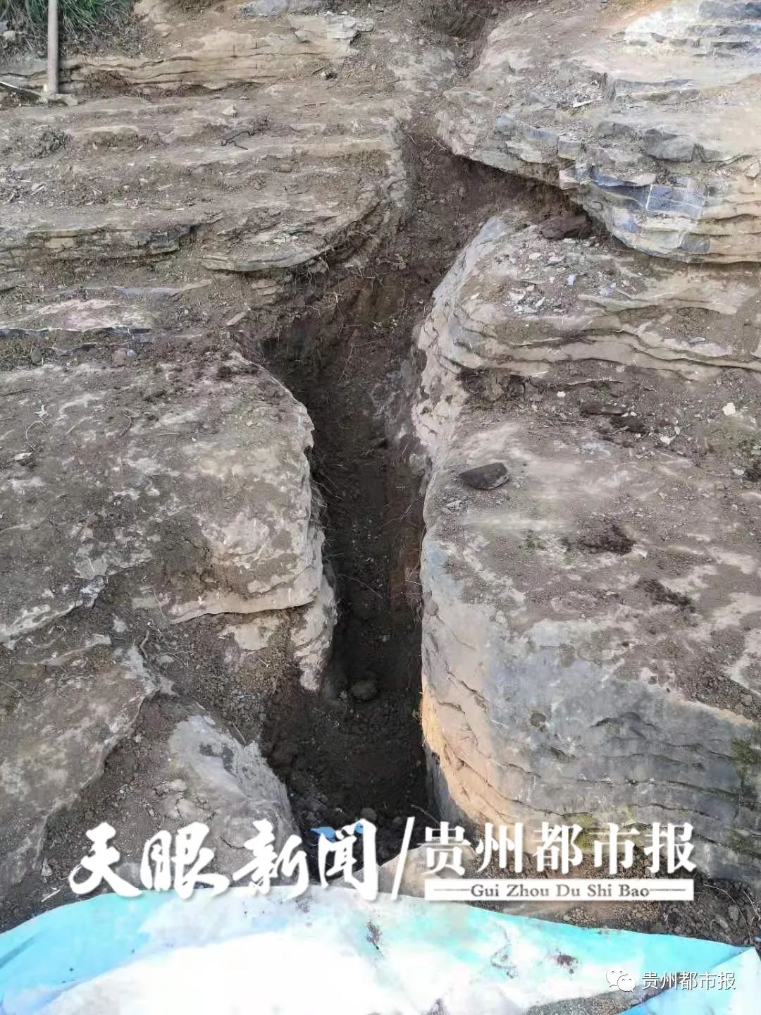 DƬ